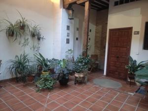 un patio con macetas y una puerta de madera en La Casa Toledana - patio y terraza con vistas, en Toledo
