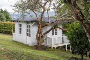ein weißes Haus mit einer Veranda und einem Baum in der Unterkunft Finca Villa Isanella, Santuario, Antioquia in Santuario