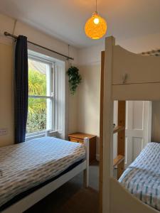 1 dormitorio con 2 literas y ventana en The Grapevine Hostel, en Dingle