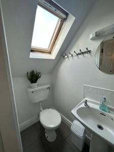 baño con aseo y lavabo y ventana en The Grapevine Hostel, en Dingle