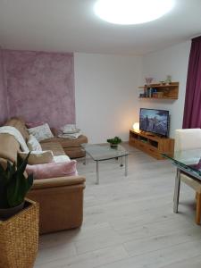 a living room with a couch and a tv at Ferienwohnung-Nüsttal in Nüsttal