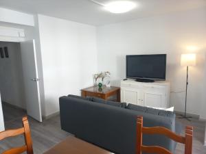 sala de estar con sofá y TV de pantalla plana en Apartamentos céntricos a 10 min de la playa, en Almería
