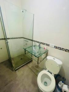 een badkamer met een toilet en een glazen wastafel bij Ana Rent II in Boulogne