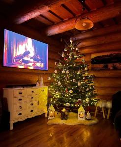 einen Weihnachtsbaum im Wohnzimmer mit TV in der Unterkunft Zrub Vlašky in Bešeňová