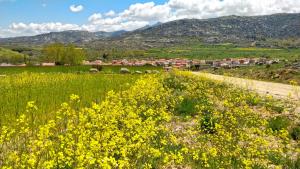 a field of yellow flowers with a village in the background at Casa Rural El Cuco in Robledillo