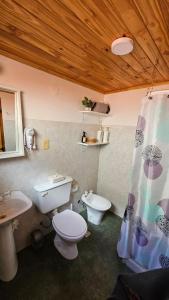 a bathroom with a toilet and a sink and a shower curtain at La casita suereña in Esquel