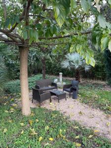 un parco con tavolo e sedie sotto un albero di Maison T 1 meublé confort proche aéroport a Pusignan