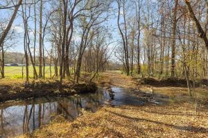 a dirt road next to a river with trees at Three Silos Farm -Chatt Hills (NEW & Pet Friendly) in Chattahoochee Hills +38 photos