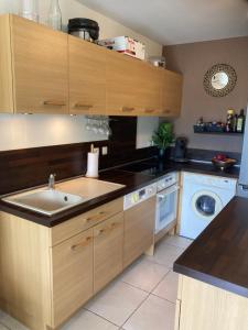 een keuken met een wastafel en een wasmachine bij Appartement de charme sur les Hauts d'Evian in Évian-les-Bains