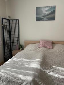 Dormitorio con cama con almohada rosa en Bartalos ház, en Zánka