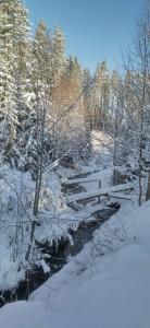 a fence in the snow next to a creek at Nad Cicha in Ujsoły