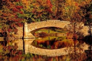 a stone bridge over a lake in a park at Starlight Guesthouse in West Orange