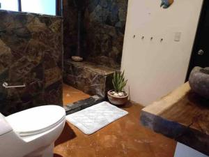 a bathroom with a toilet and a stone shower at Casa Conti Agua Blanca in Playa Agua Blanca