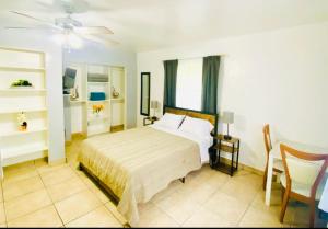 a bedroom with a bed and a chair and a window at Hallandale Beach Motel in Hallandale Beach