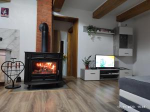 TV a/nebo společenská místnost v ubytování Kuća za odmor Tina