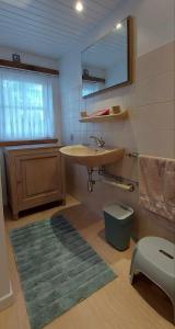 een badkamer met een wastafel en een tapijt bij Diksmuidse Ardennen 