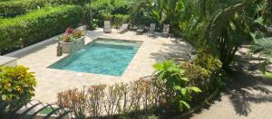 an overhead view of a swimming pool in a garden at Villas Majolana in Herradura