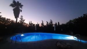 a swimming pool at night with a palm tree at Villa Themis in Káto Sangríon