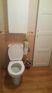 ein Badezimmer mit einem weißen WC und einer Tür in der Unterkunft apartamento noviembre in Madrid