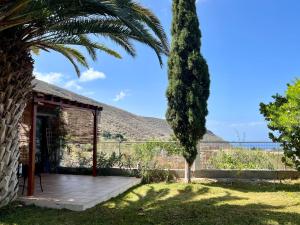 a house with a palm tree and a wooden porch at Winter Wonderland in Puerto de Santiago