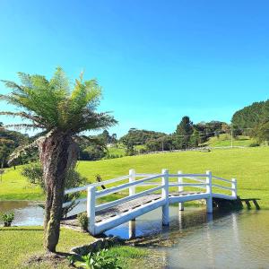 uma ponte branca ao lado de uma árvore e uma palmeira em Rancho Otto Chalet Boutique - Rancho Queimado - SC em Rancho Queimado