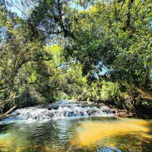 a creek with a waterfall in the middle of a forest at Rancho Otto Chalet Boutique - Rancho Queimado - SC in Rancho Queimado