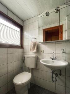 y baño con aseo y lavamanos. en Nur-Dach-Haus am Alfsee, en Rieste