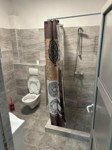 a bathroom with a toilet and a shower at Stan na dan - Foča in Foča +17 photos