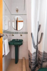 een badkamer met een groene wastafel en een douchegordijn bij heart of Roma Apt on a quiet street in Mexico-Stad