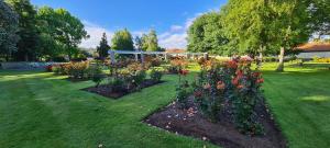 New Castle Motor Lodge في روتوروا: صف من الزهور في حديقة مع شرفة