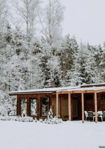 a house covered in snow in front of trees at Sauna2relax in Šveicarija