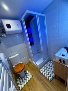 ein Bad mit einem WC, einer Dusche und einem Waschbecken in der Unterkunft Chalet cosy et coconing in Meyzieu