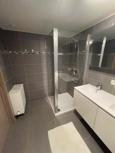 a bathroom with a shower and a sink at Vakantieappartement - Gratis garage - Topligging in Ostend