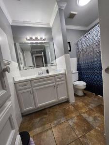 a bathroom with a sink and a toilet and a mirror at Blue Shark *E19* @ Midtown Functional 1BR King Apartment in Houston