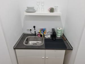 uma cozinha com um lavatório e uma bancada em City Central Apartment House em Kaiserslautern