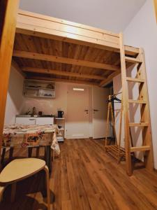 a room with a loft bed and a kitchen at Relax Rooms & Apartments Vienna Belvedere 10 minutes to downtown in Vienna
