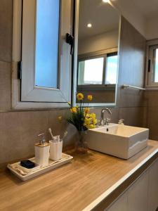 eine Badezimmertheke mit einem Waschbecken und einem Spiegel in der Unterkunft Villamagna, casa en Potrerillos in Potrerillos