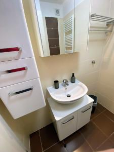 La salle de bains est pourvue d'un lavabo blanc et d'un miroir. dans l'établissement Spring Apartment Zagreb, à Zagreb