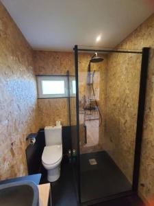 a bathroom with a toilet and a glass shower at Chalet les pieds dans l'eau la campagne à la ville in Saint-Doulchard