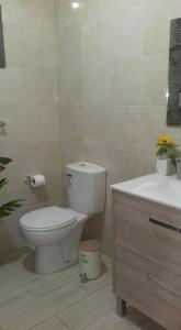 La salle de bains est pourvue de toilettes et d'un lavabo. dans l'établissement Sunflower Guest House - Pico, à São Caetano