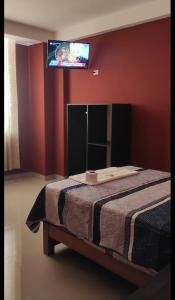 1 dormitorio con 1 cama y TV en la pared en HOSTAL LLAUT * *, en Moquegua