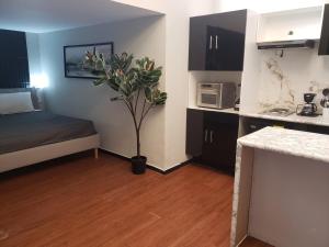 Habitación pequeña con cama y maceta en Hotel Singular Goldsmith, en Ciudad de México