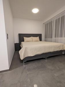 1 dormitorio con 1 cama grande en una habitación en View, en Kornwestheim