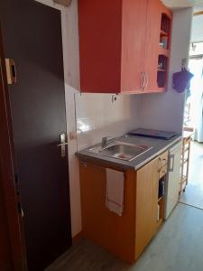 マニグードにあるAppartement au cœur des Aravisの小さなキッチン(シンク、カウンタートップ付) +10枚の写真