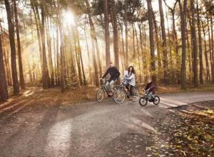 un hombre y una mujer montando bicicletas en un camino en Green Tiny Safari, en Zeewolde