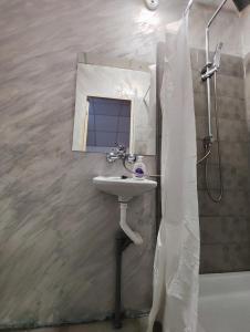 a bathroom with a sink and a mirror and a shower at Casa Thomas Cluj in Cluj-Napoca