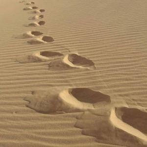 a group of footprints in the sand in a desert at White desert & Black desert camb in Qasr Al Farafirah