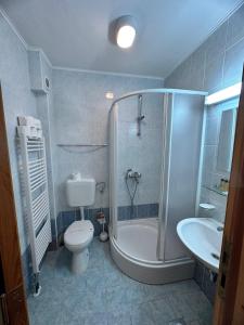 a bathroom with a shower and a toilet and a sink at BJELAŠNICA BEX APARTMANI 