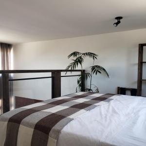 a bedroom with a bed and a plant in it at The Guest House pousada in Balneário Gaivotas +37 photos