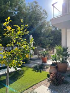 Aed väljaspool majutusasutust Apartment Lemon Tree